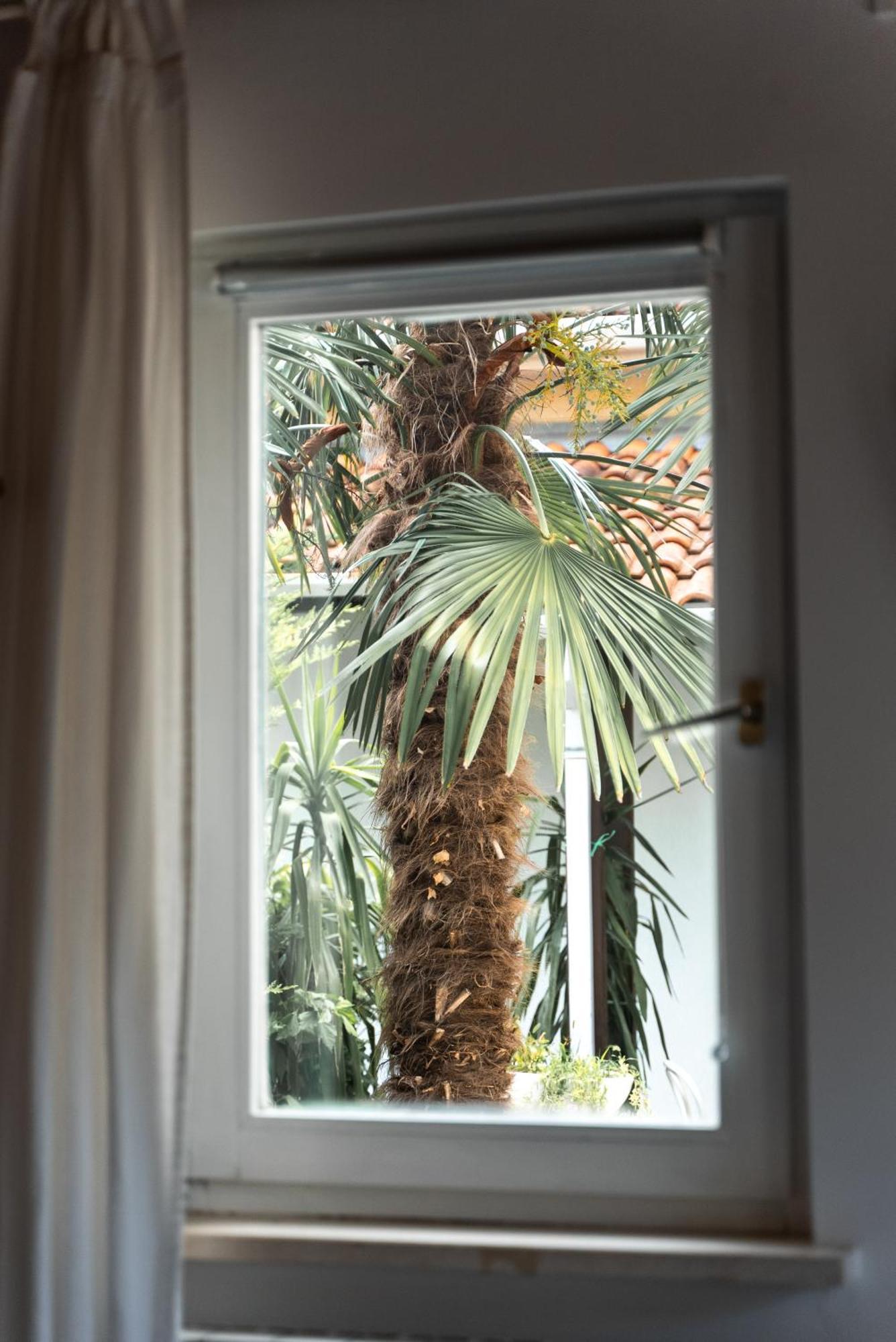 New Cosy Apartments With Private Parking Opatija Luaran gambar